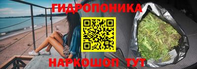 СК Бердск