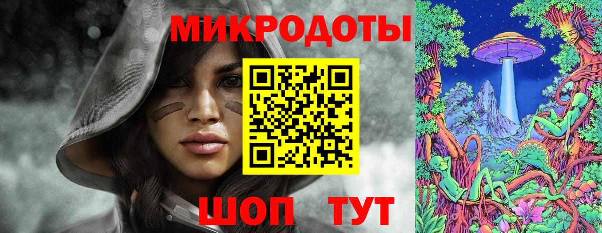Псилоцибиновые грибы Psilocybe Асбест
