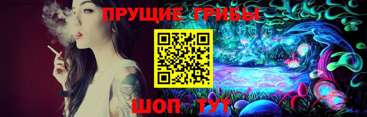 Галлюциногенные грибы Cubensis  Вход с VPN  Асбест 